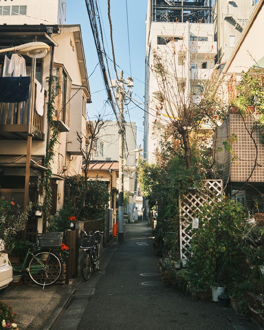 
You can be in a busy shopping street one moment, then suddenly walking through a silent alley filled with laundry and porch gardens. 
