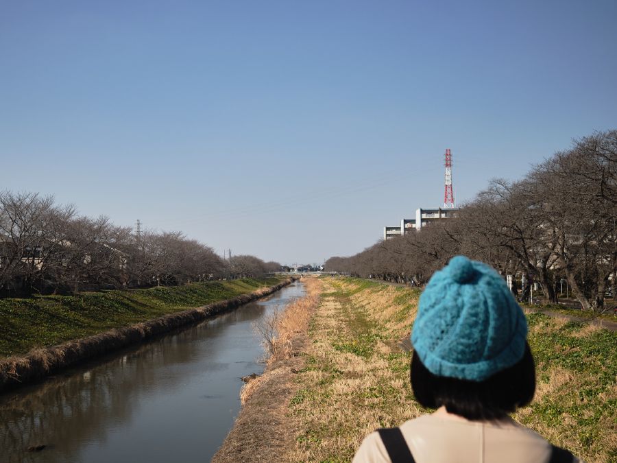 
This place will be very nice once Sakura season lands.
