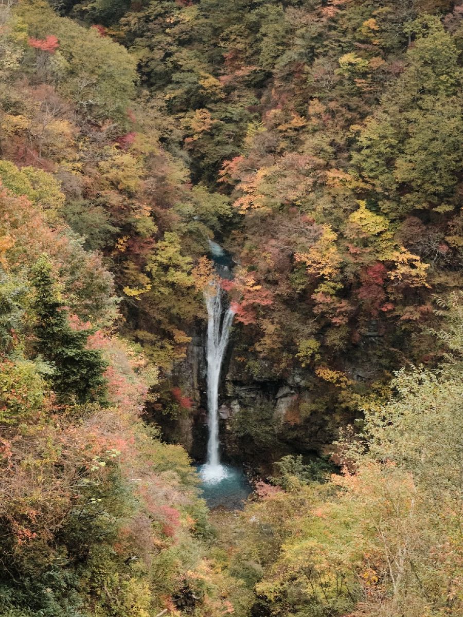 Bit blurry, but whatever. Saw the falls and wanted to go home and paint.
