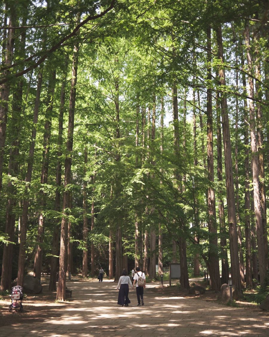 
In the past I got annoyed people who said things like: I liked it before it was cool, but now I don't really like it anymore. If something cool falls in a forest, and no one is around to see it was it actually cool?
